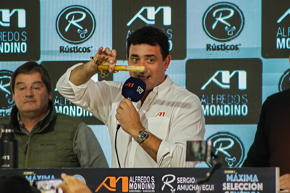 RUSTICOS - AS MONDINO