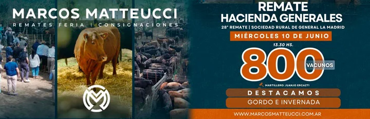 MATTEUCCI