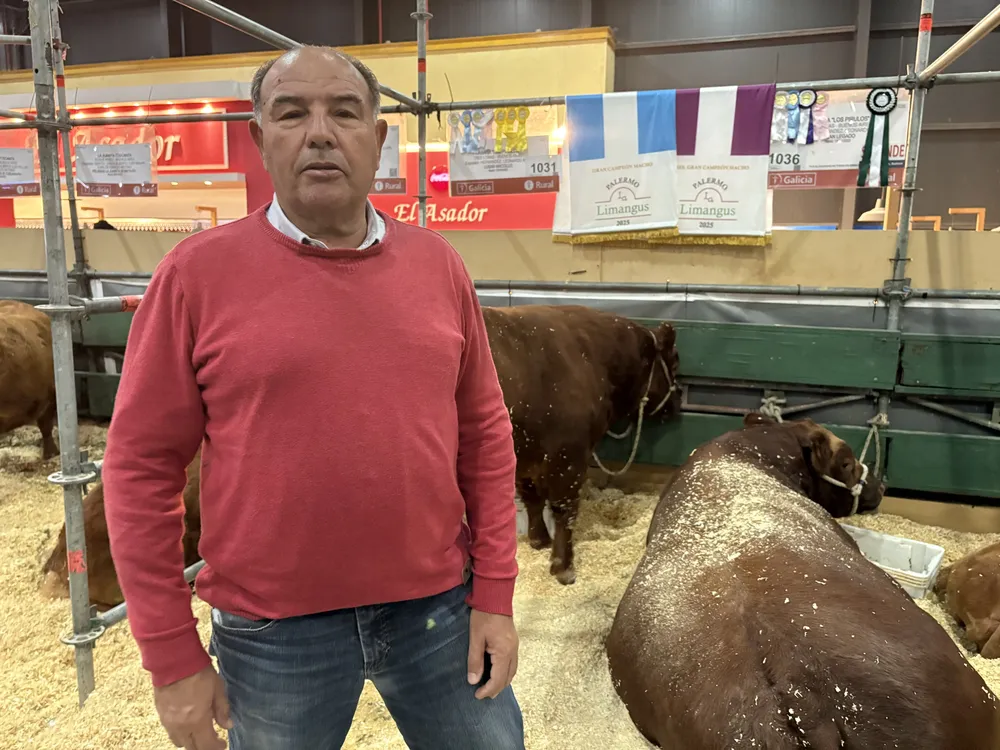 LEO HERNANDEZ - LOS PIRULOS - LIMANGUS