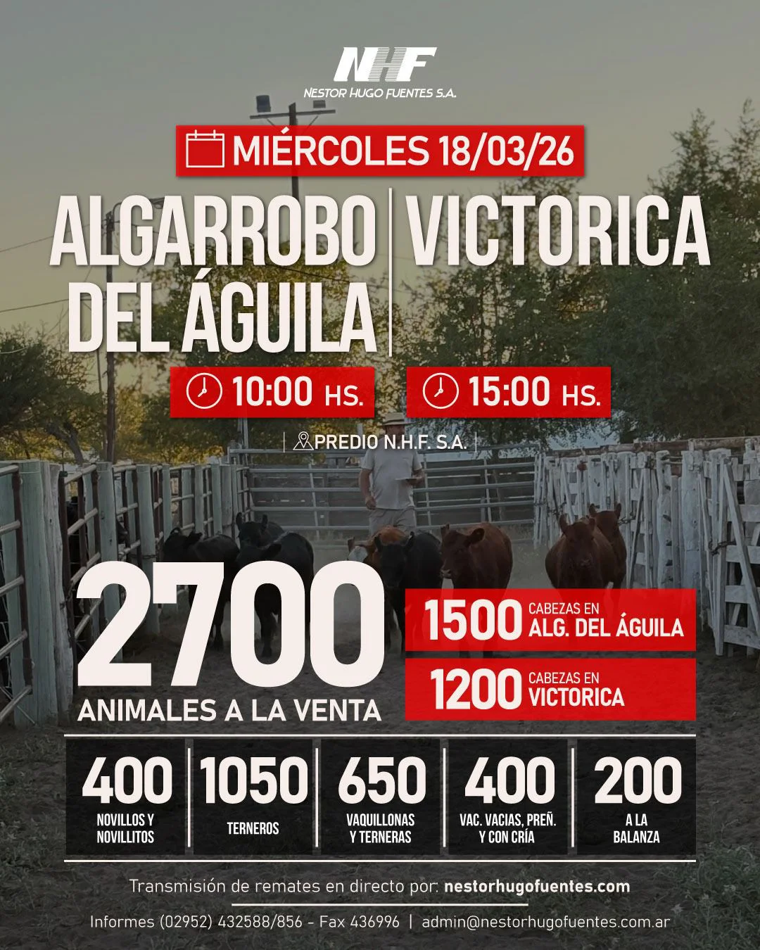 WhatsApp Image 2026-03-13 at 1.36.08 PM