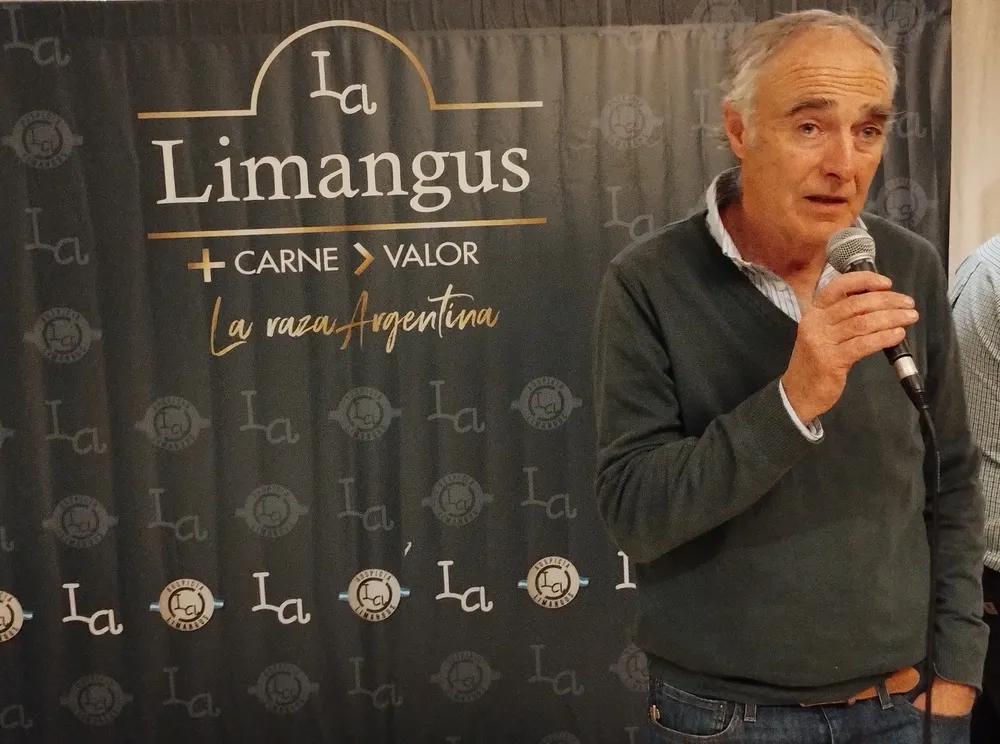 FERNANDO LUIS