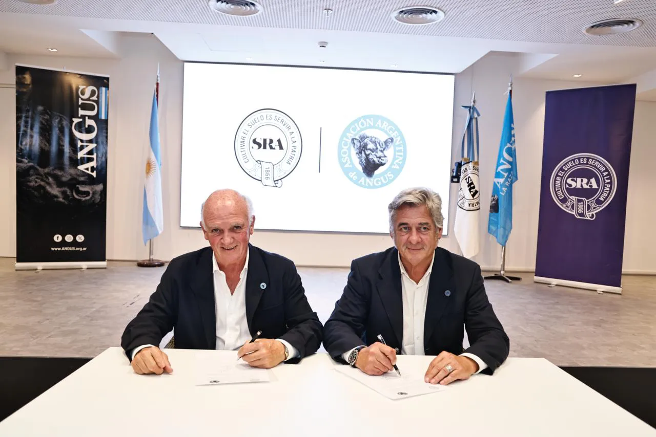 WhatsApp Image 2025-11-12 at 6.20.50 PM