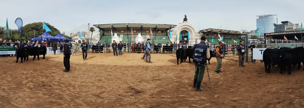 IMG_20240522_105613037