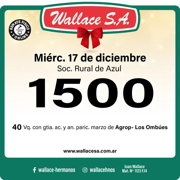 WhatsApp Image 2025-12-09 at 11.48.57 AM