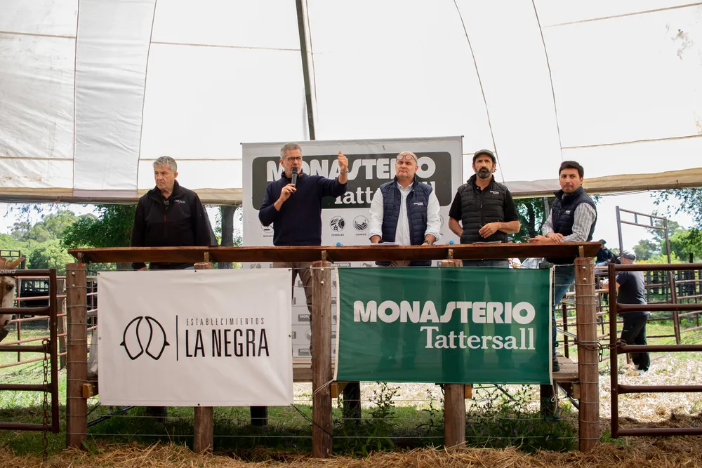 MONASTERIO TATTERSALL TAPA