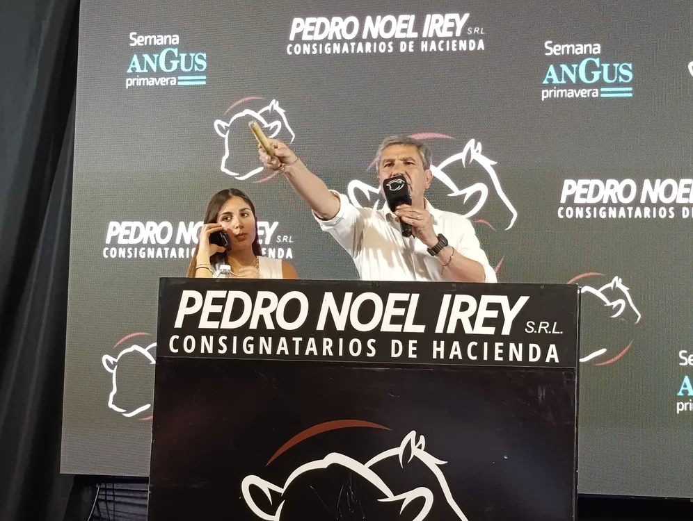PEDRO NOEL IREY