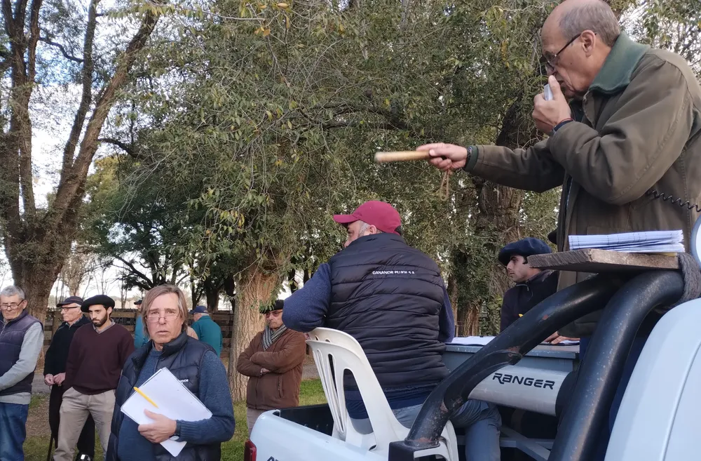 GANANOR PUJOL SA - BENITO JUAREZ