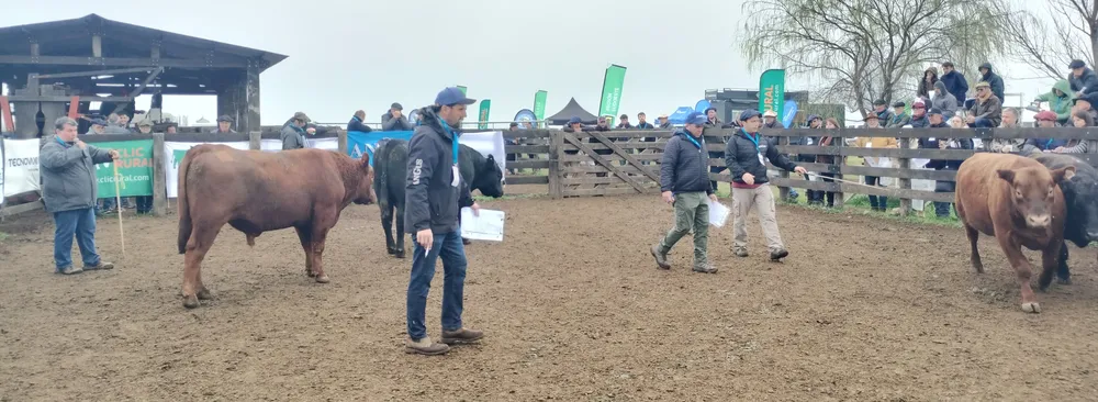 IMG_20240806_113635060_HDR