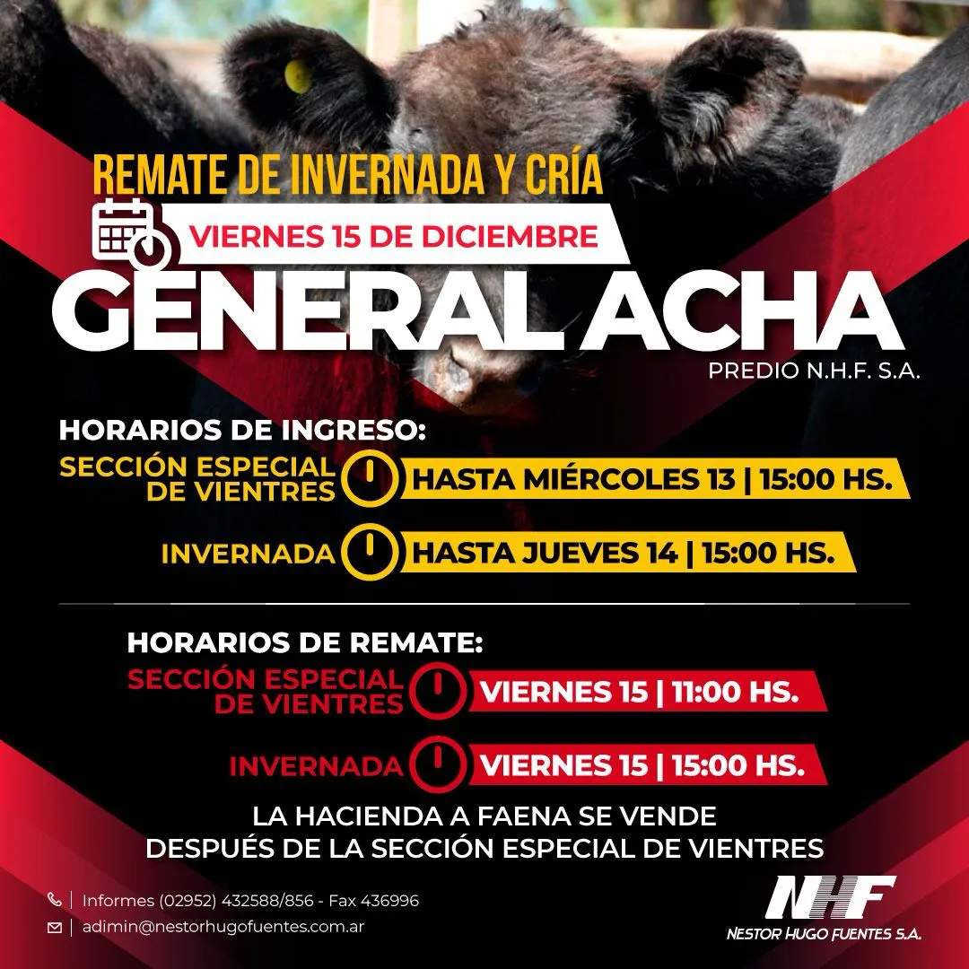 ACHA 15