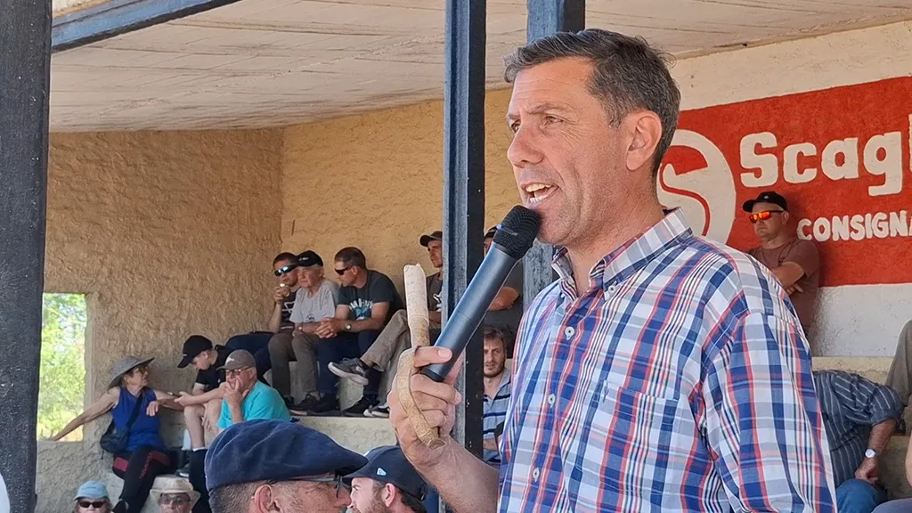 WhatsApp-Image-2025-10-07-at-10.33.32-AM-1