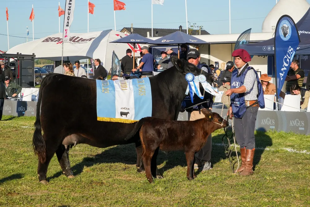 Gran-Campeon-Hembra-Portada-scaled