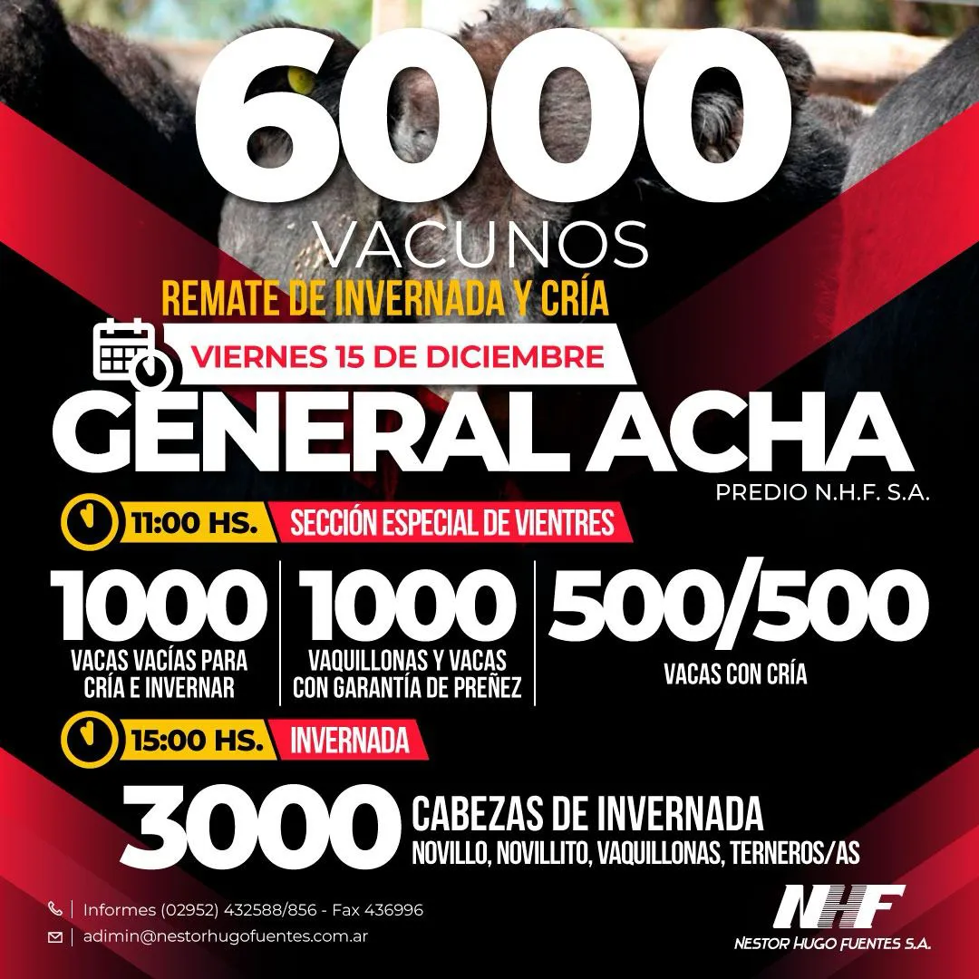ACHA 15b
