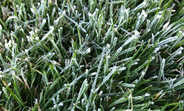 dsiitedxoaaajhf-213319