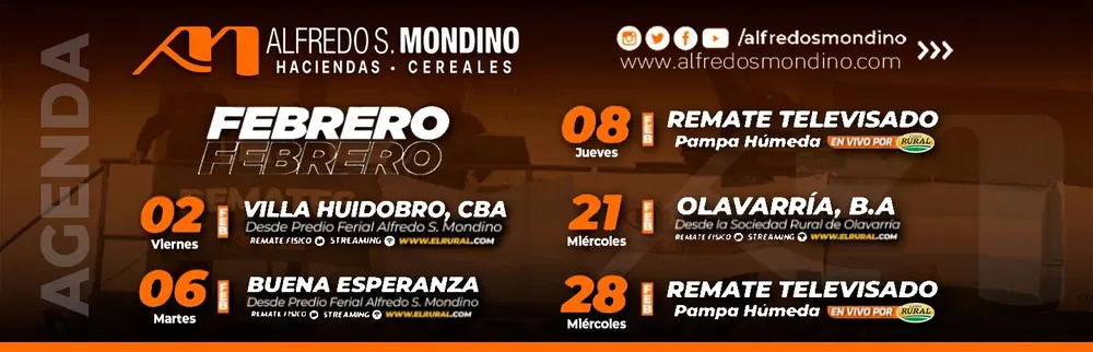 MONDINO