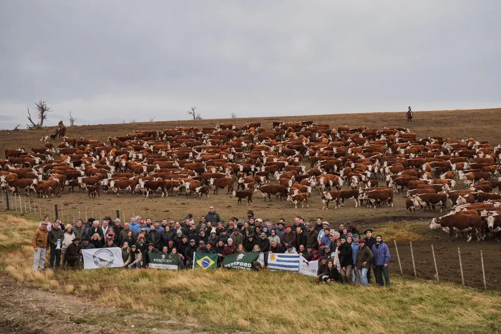 WhatsApp Image 2025-03-20 at 3.00.20 PM