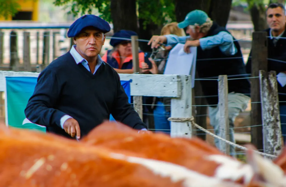 JULIO FERNANDEZ - JURADO HEREFORD - EXPO OTOÑO AZUL 2026
