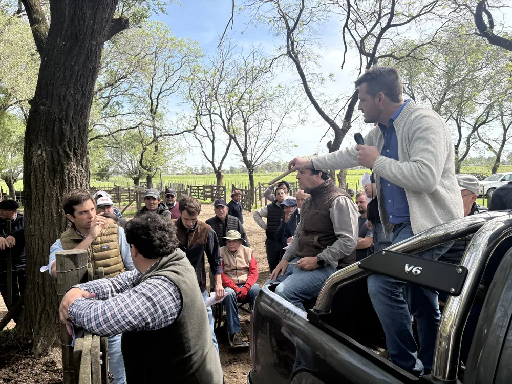 REMATE FERIA RECALDE - LARTIRIGOYEN Y OROMI