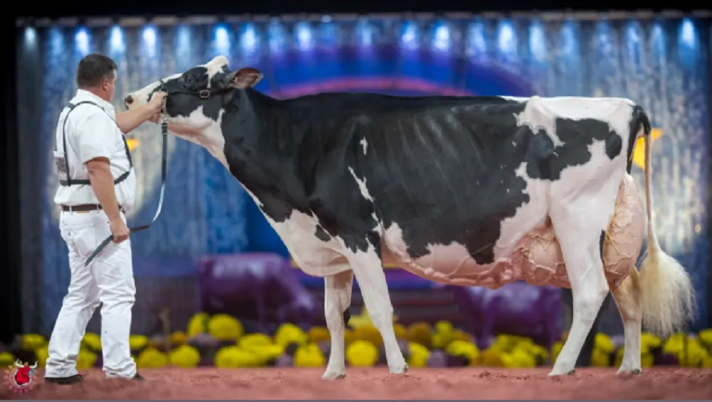 Oakfield-Solom-Footloose-2025