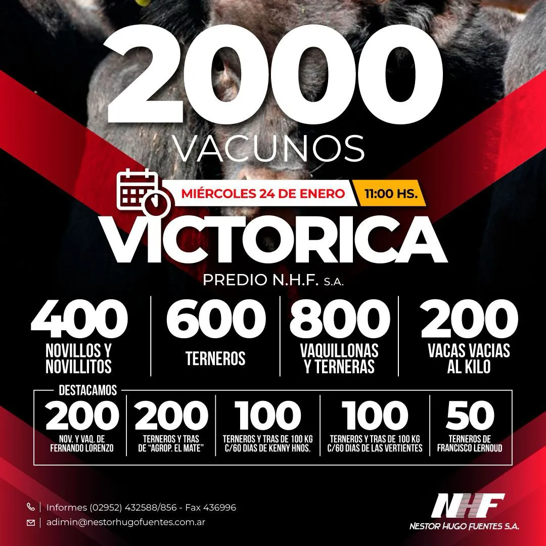 WhatsApp Image 2024-01-19 at 13.53.14