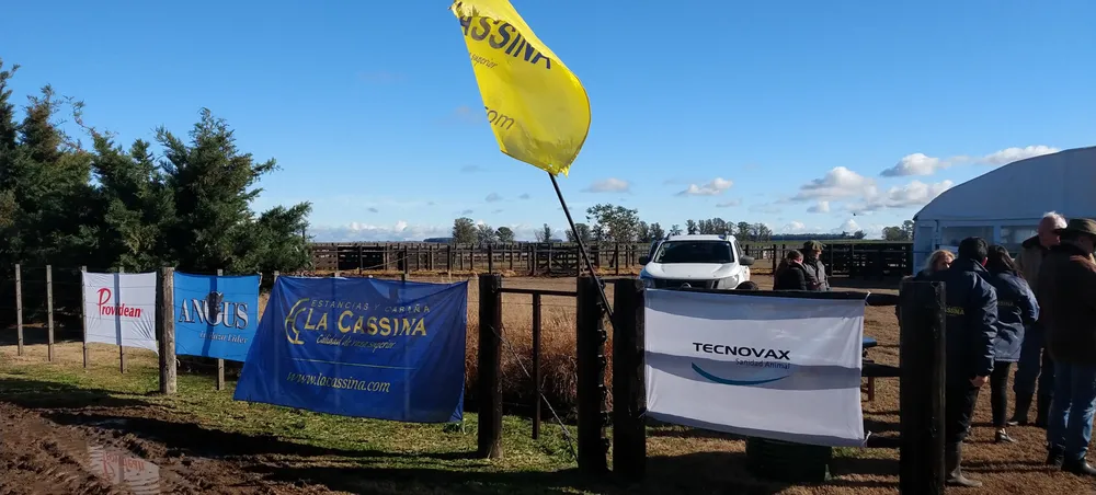 IMG_20230713_120957896