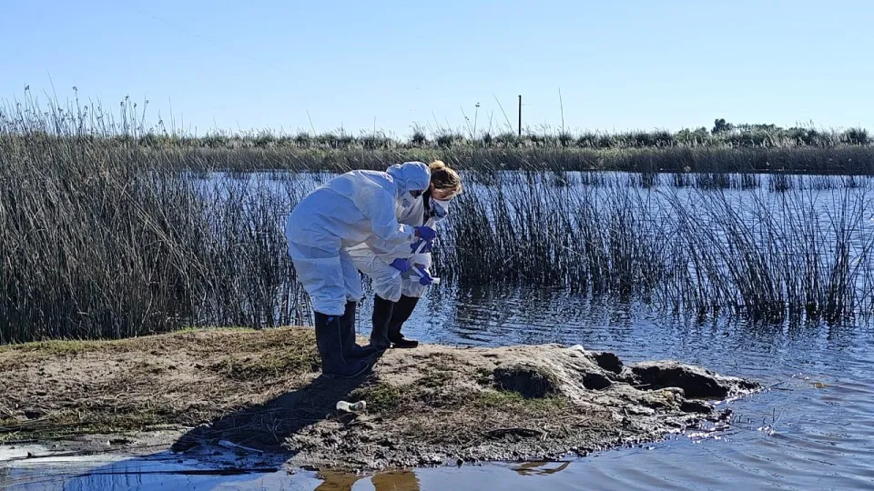 WhatsApp Image 2025-12-03 at 10.25.58 AM