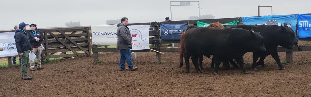 IMG_20240806_111227875