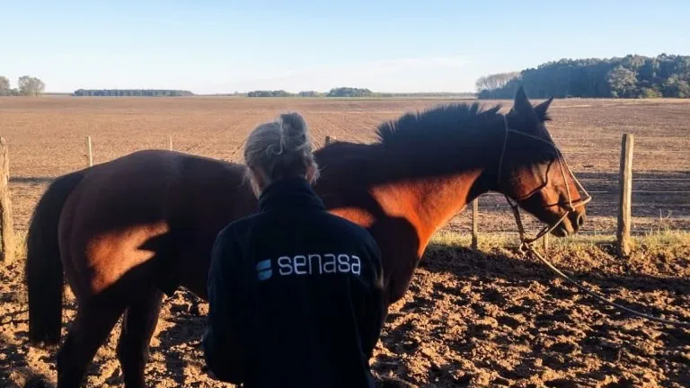 WhatsApp Image 2025-08-21 at 2.30.11 PM