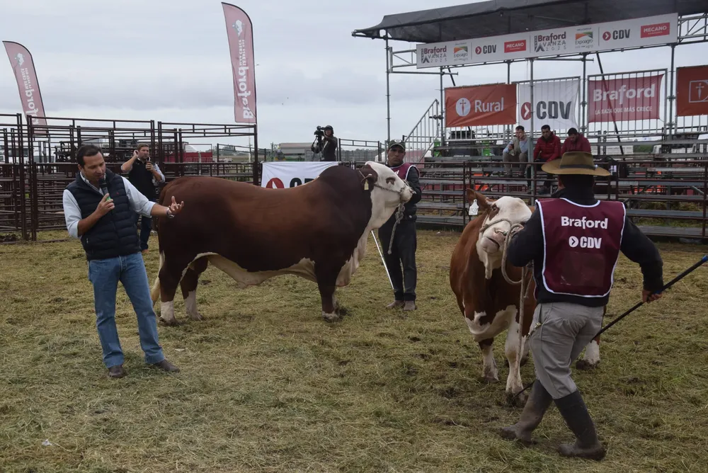 Charla-Criterios-Selectivos-4-scaled