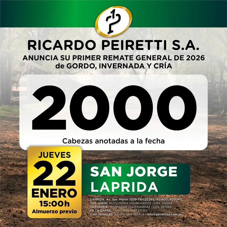 WhatsApp Image 2026-01-20 at 10.32.02 AM