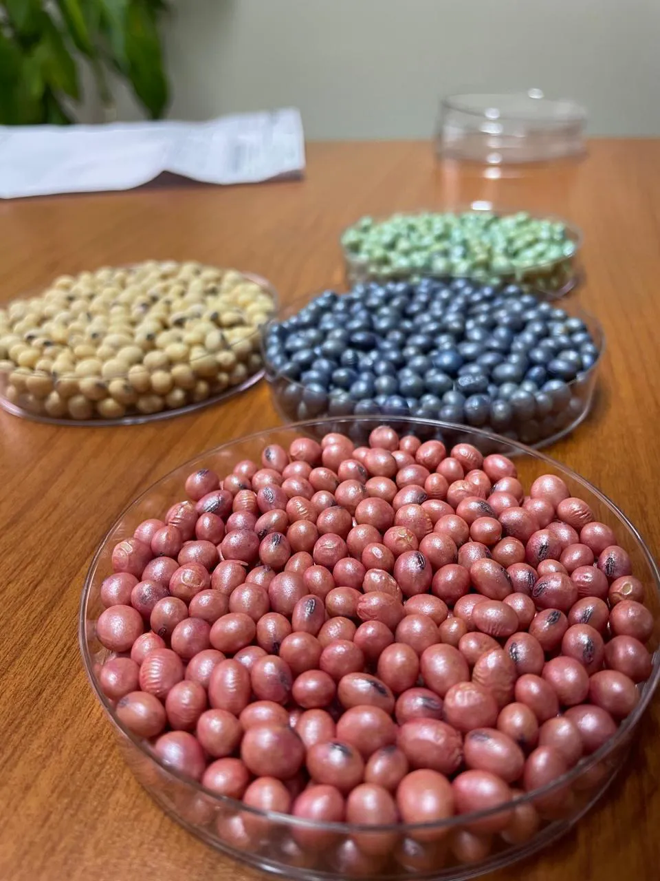 4187af46-899f-0001-f6a5-4f477b4d2b2f