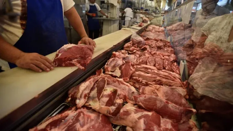 novedades-la-carne-el-pais