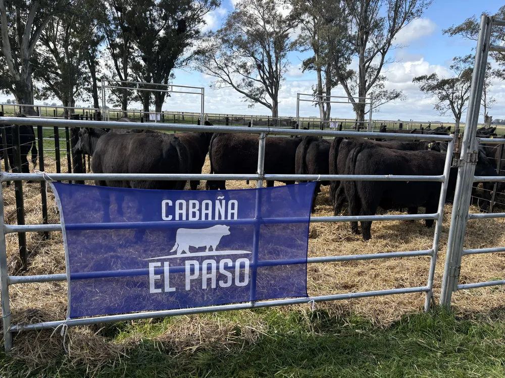 CABAÑA EL PASO, DE RIVOLTA
