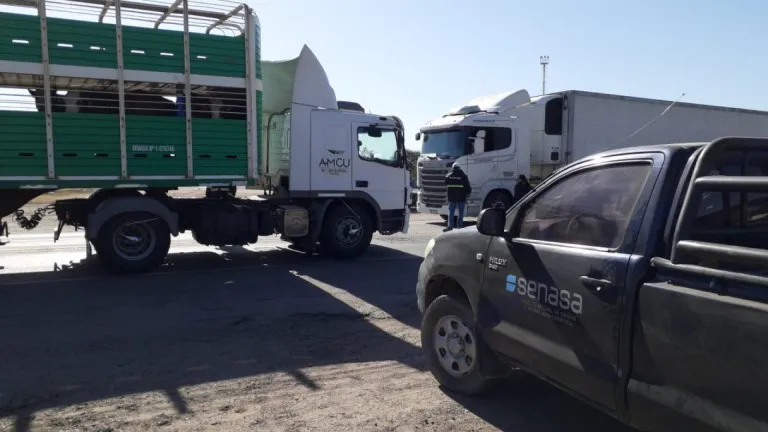 WhatsApp Image 2025-10-23 at 7.57.27 PM (1)