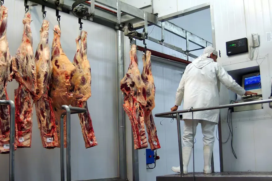 carne-hilton-corte-de-carne-hilton-cuota-hilton-ZKJNGHLI5BB3LF3MBZKGJY5D74