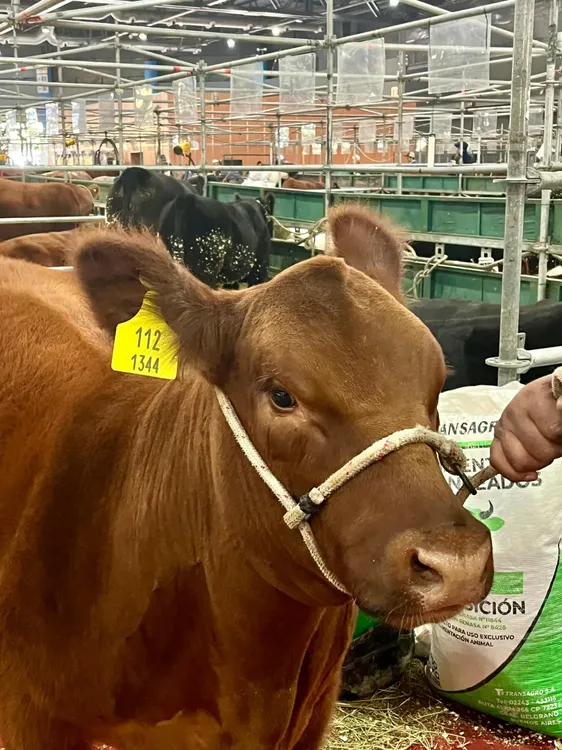 WhatsApp Image 2024-05-21 at 3.34.10 PM