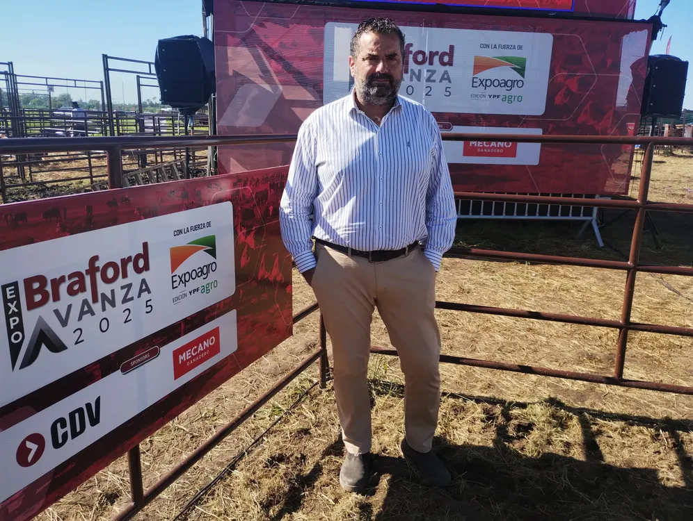 BRAFORD6 - J ALBERRO