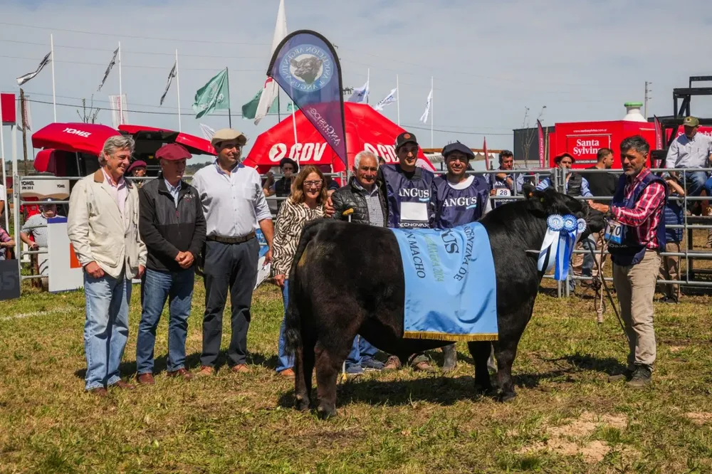 WhatsApp-Image-2024-09-20-at-15.15.16-1-1536x1023