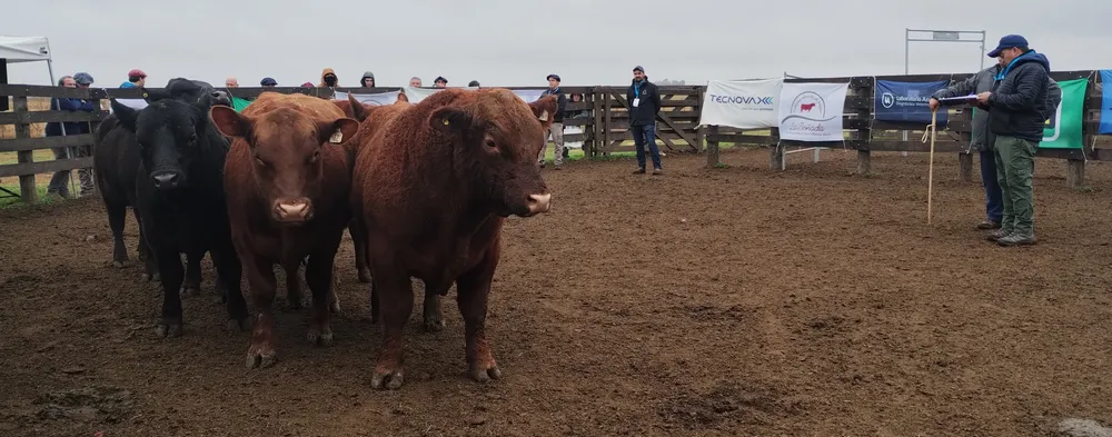 IMG_20240806_114800610