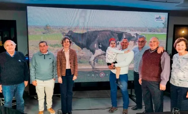 Jura_campo_vacas_lecheras_entre_r_os