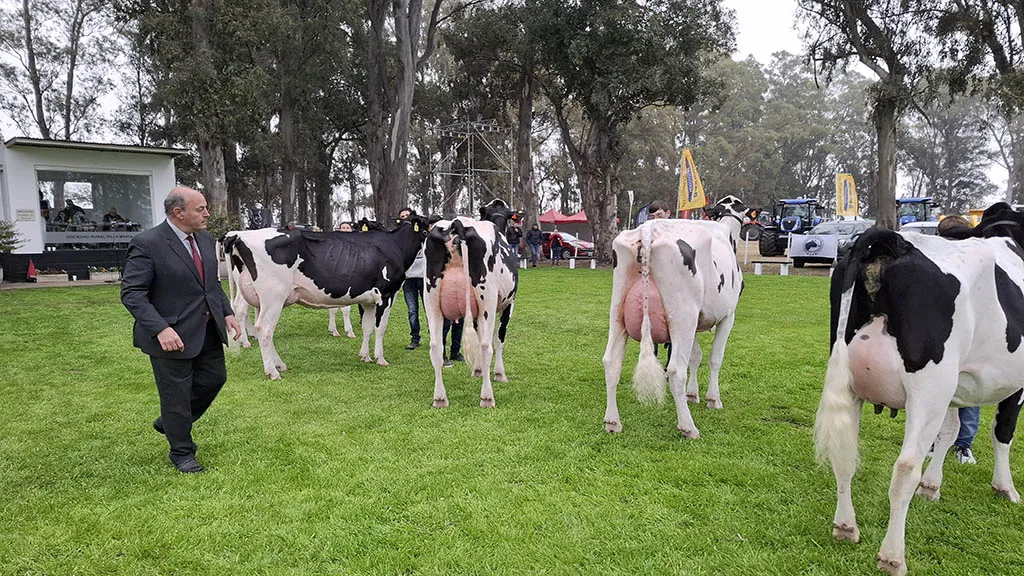 holando-argentino-jura