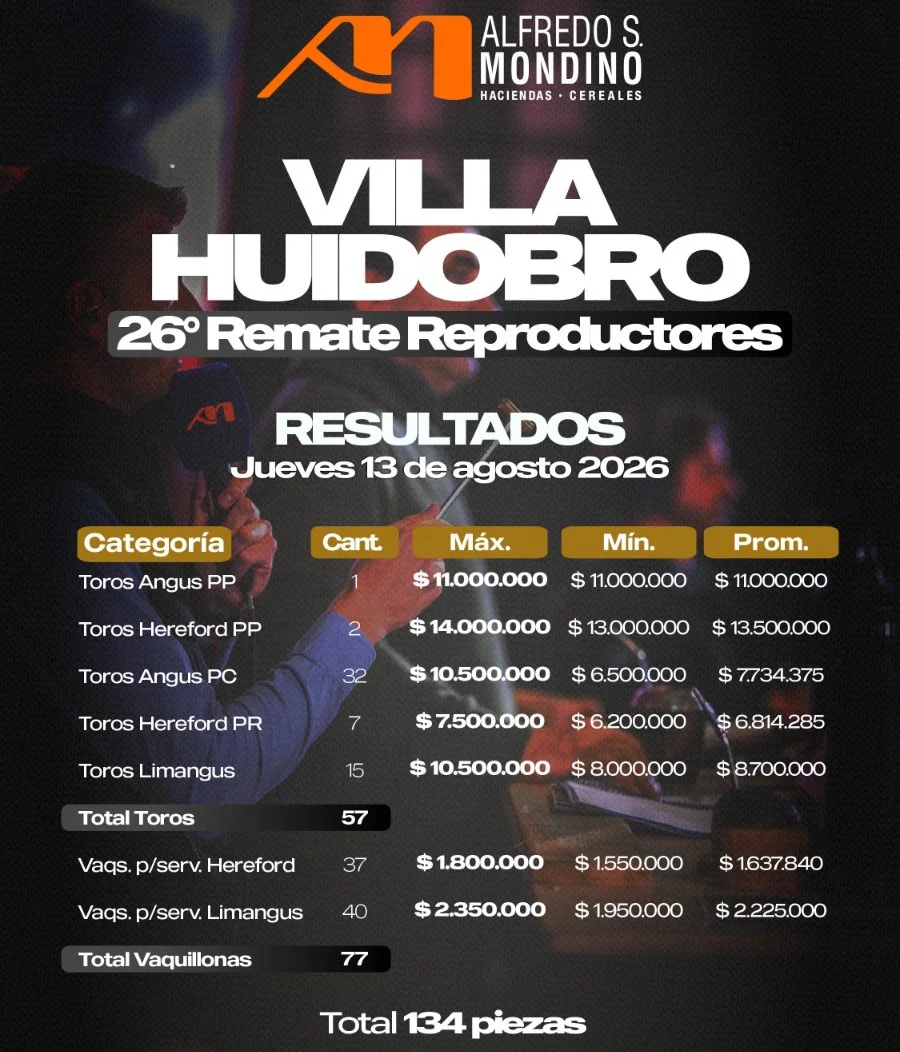 VILLA HUIDOBRO2