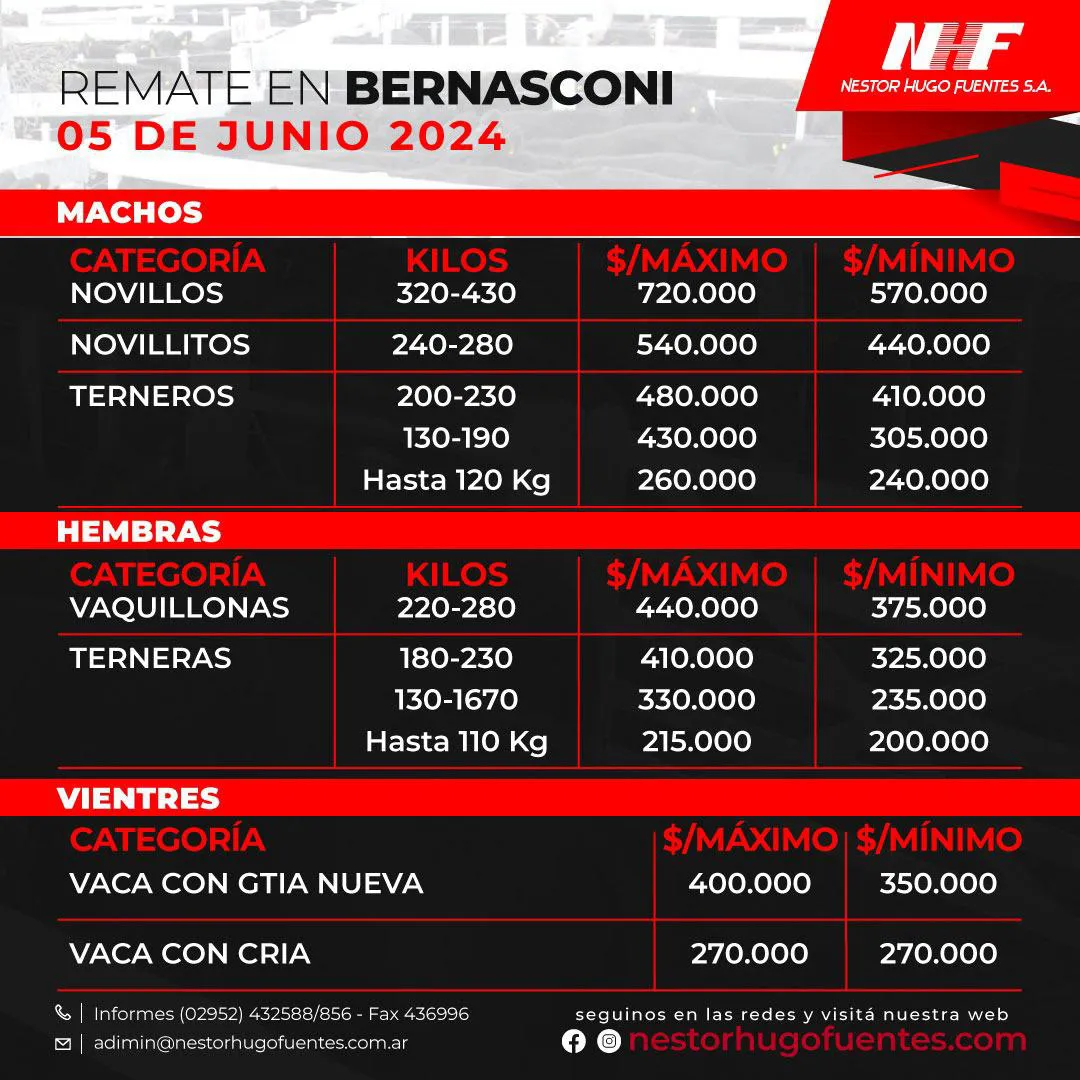NHF BERNASCONI5