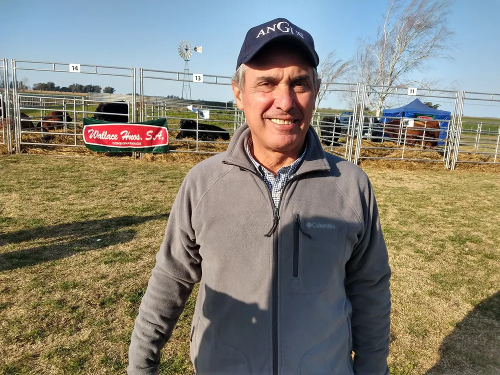 MARTIN TINELLO