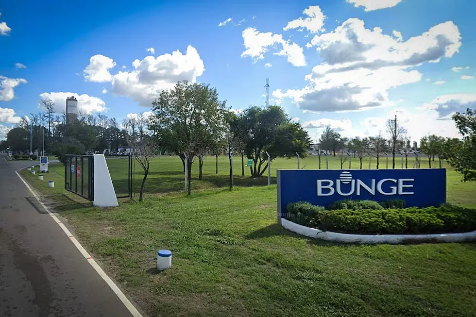 Bunge