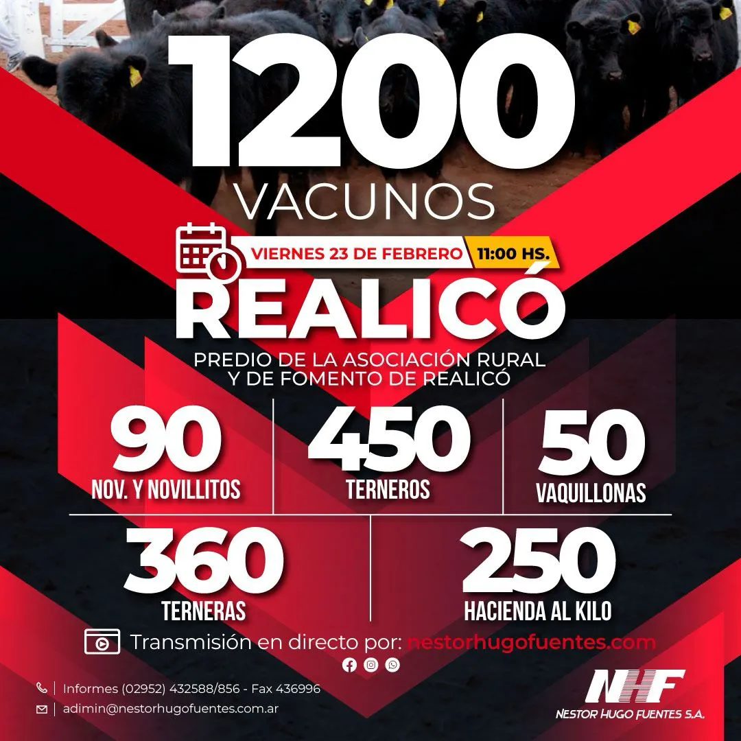 REALICO