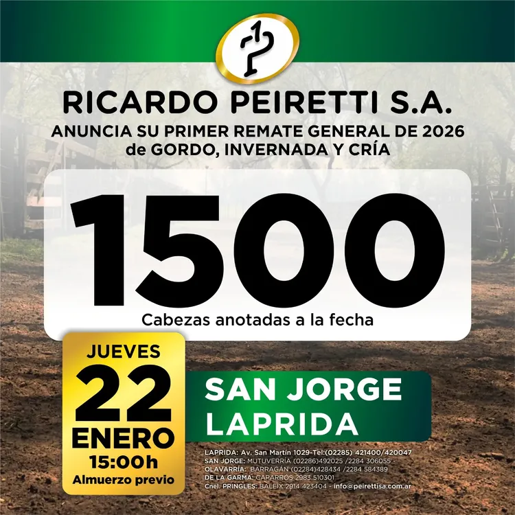 WhatsApp Image 2026-01-07 at 9.31.02 PM