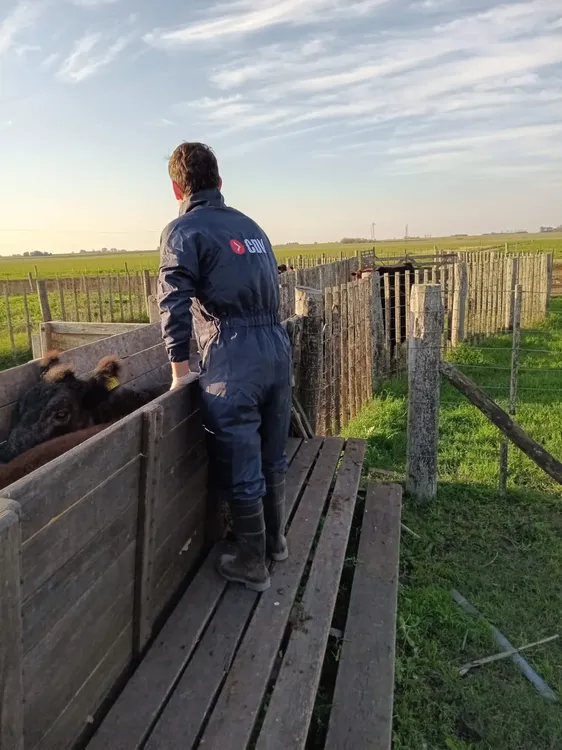 Veterinario en manga (3)