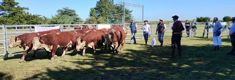 PASTORIL5