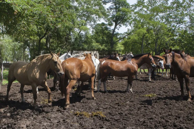 WhatsApp Image 2026-01-07 at 11.36.01 AM