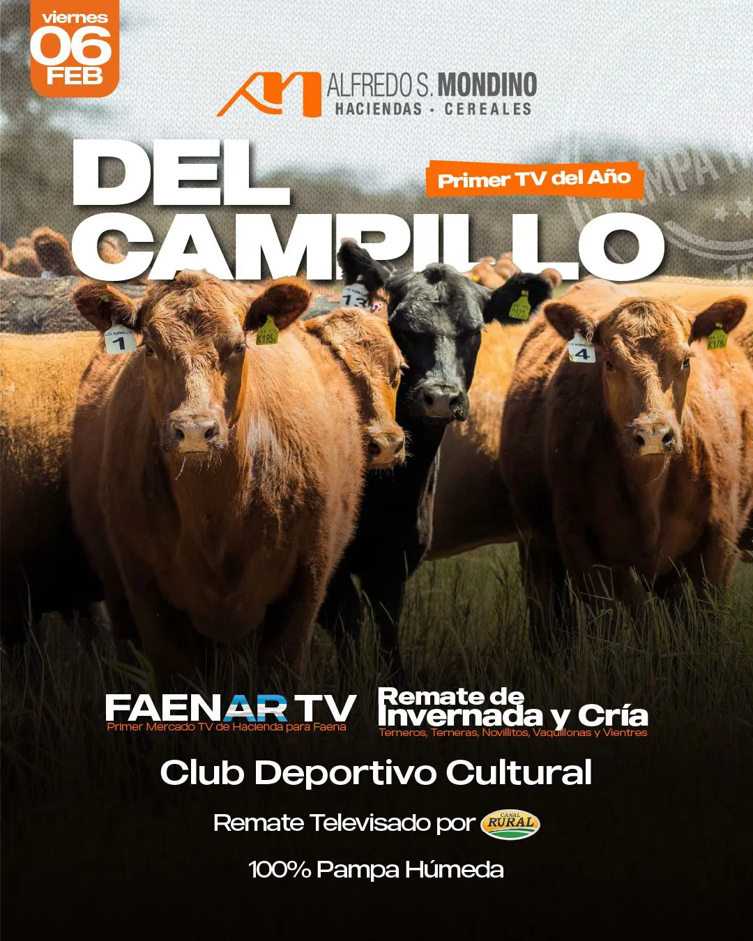 WhatsApp Image 2026-01-12 at 7.47.52 PM